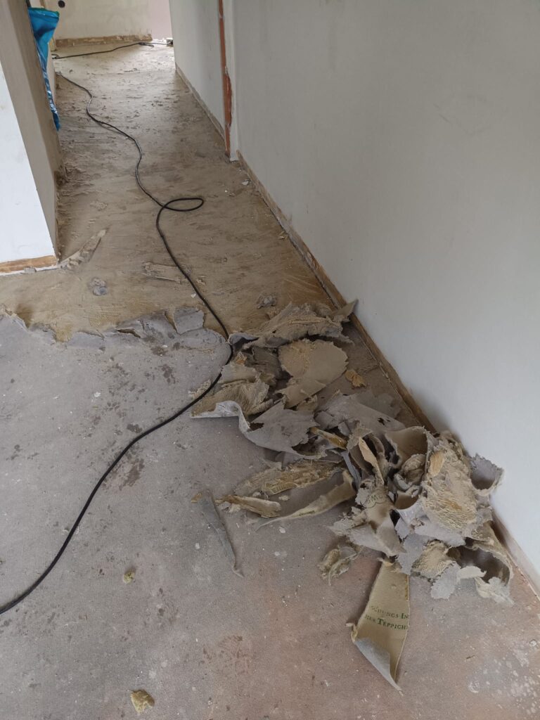 whatsapp image 2026 02 15 at 22.59.55 (3)