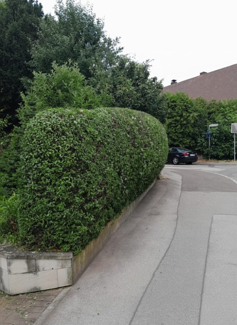 whatsapp image 2026 02 15 at 22.59.55