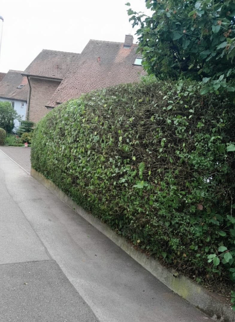 whatsapp image 2026 02 15 at 23.00.02 (5)