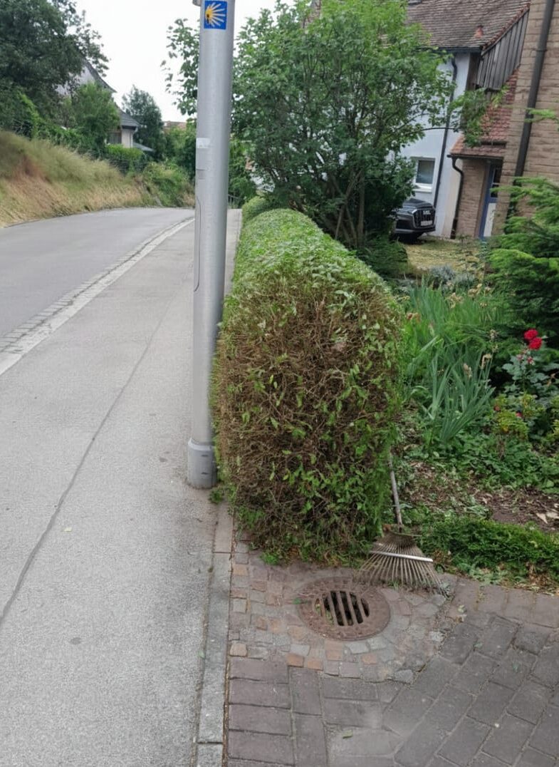 whatsapp image 2026 02 15 at 23.00.02 (6)